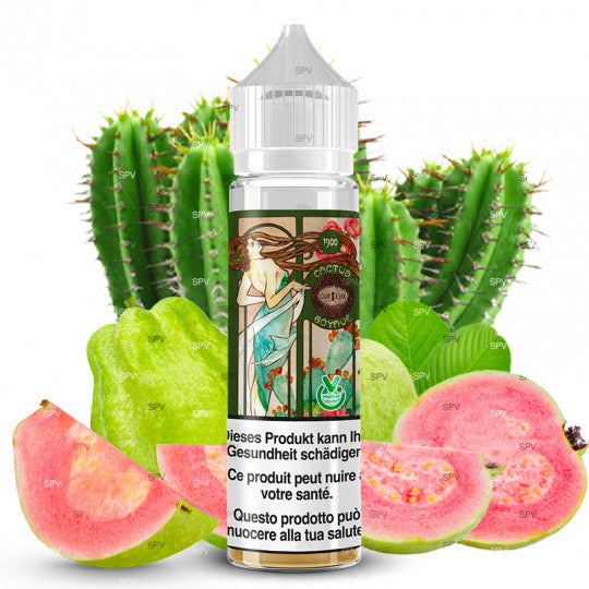 e liquide cactus goyave shortfill format edition 1900 by curieux 50ml.jpg e liquide cactus goyave shortfill format edition 1900 by curieux 50ml.jpg